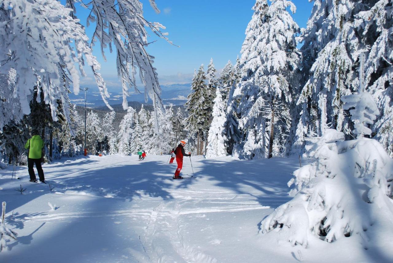 Chaletresort By S4Y Sankt Englmar Luaran gambar